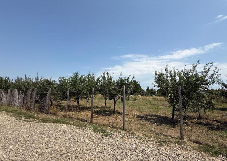 VALEA URSULUI, TEREN INTRAVILAN DE , LA MARGINE DE PADURE - 18