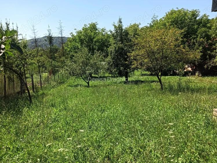 De vanzare! Casa cu 1000 de m ,3 camere ,bucatarie, hol+dependin?e,com Aluni? Prahova!Uni De vanzare! Casa cu 1000 de m ,3 camere ,bucatarie, hol+dependin?e,com Aluni? Prahova!Uni