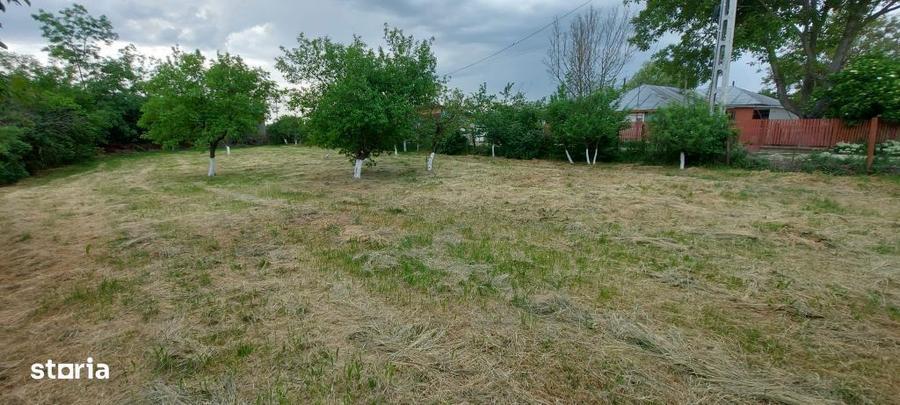 Teren intravilan de vanzare | 900 mp | Movila | Toate utilitatile - 6