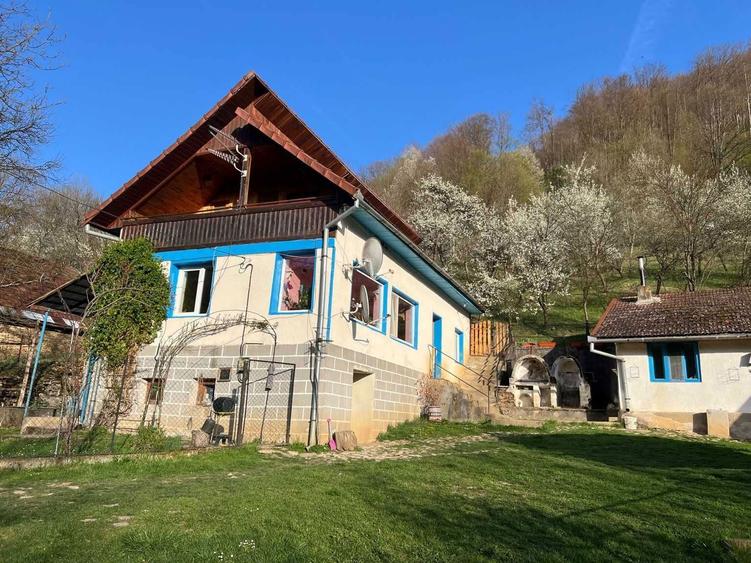 Pret actualizat | Proprietar vand casa la munte cu 6.019 mp teren, gradina, livada, utilitati complete Bacaia (Geoagiu) - 8