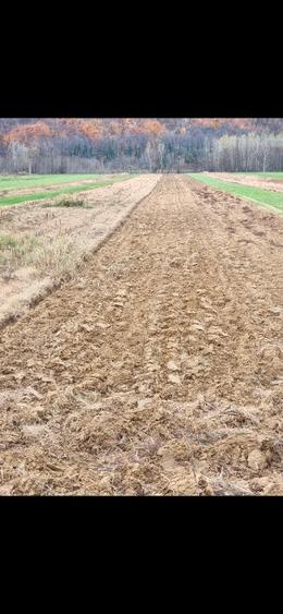 Teren si casa+ anexe de vânzare  - 3