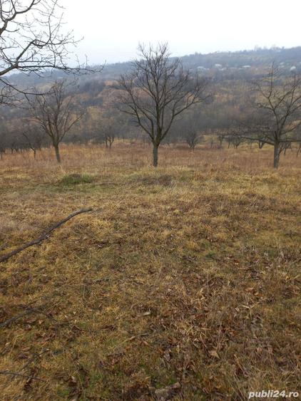 Casa si teren de vanzare Dumitresti - 1