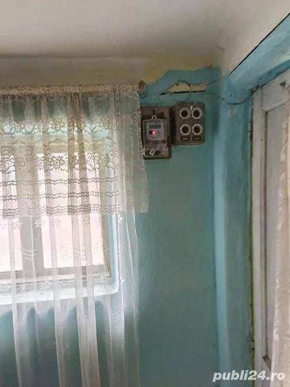 Potigrafu Crivina - 19