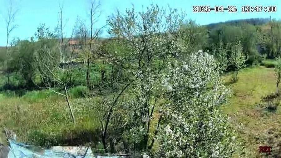 vanzare casa ?i teren la ?ara - 3