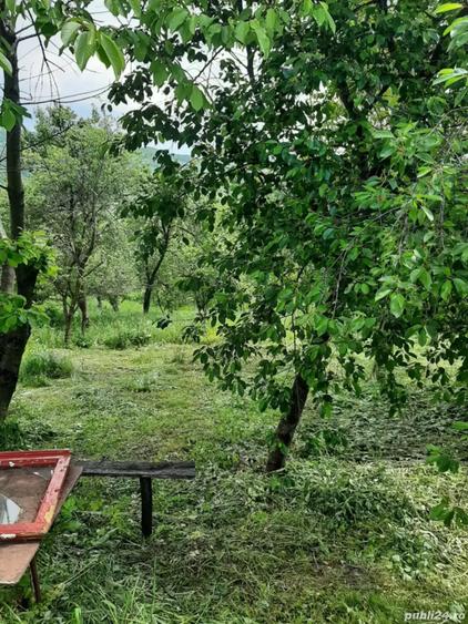 vind casa cu toate utilita?ile - 5