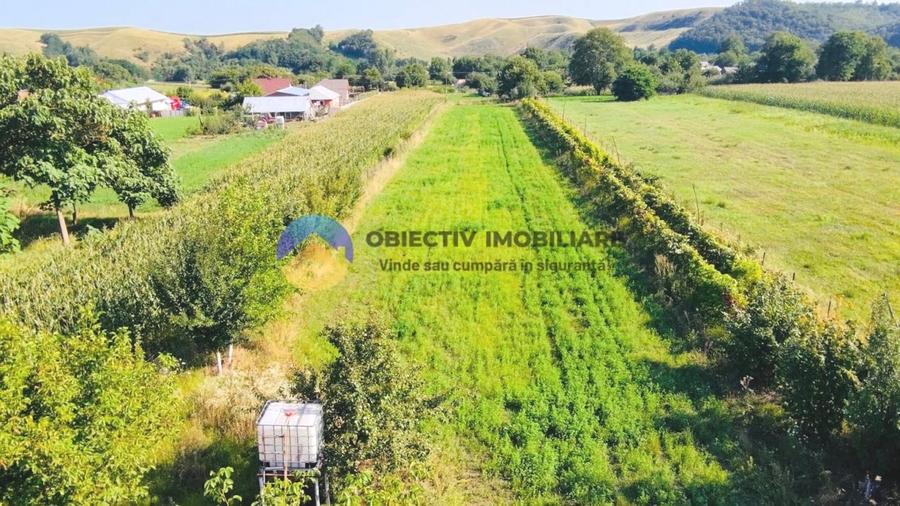 TEREN intravilan  6764 mp DRAGOMIRESTI - VAD - 9