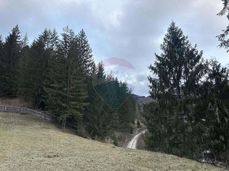 Teren 2,000mp Stejaru (Pangarati) / None - 5