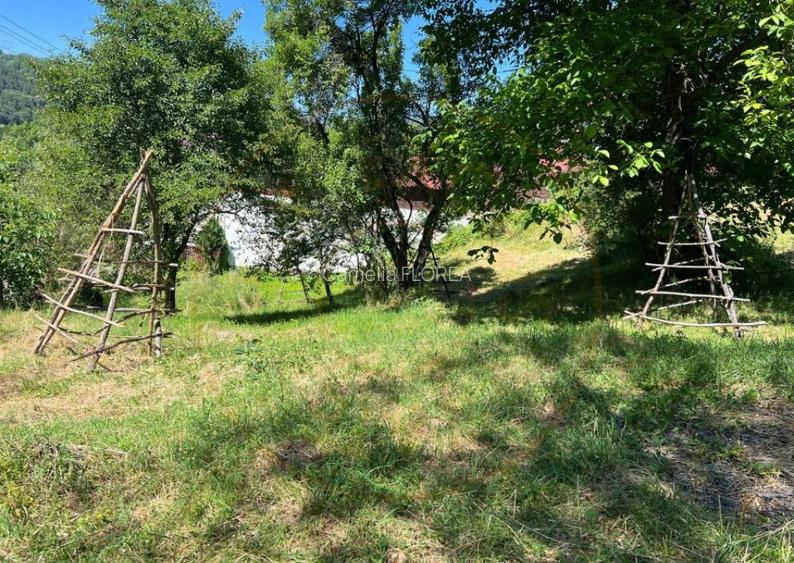 Teren 4996 mp zona de munte Comuna Arefu-Capataneni Arges