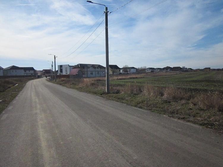 Domnesti-Narciselor - 6