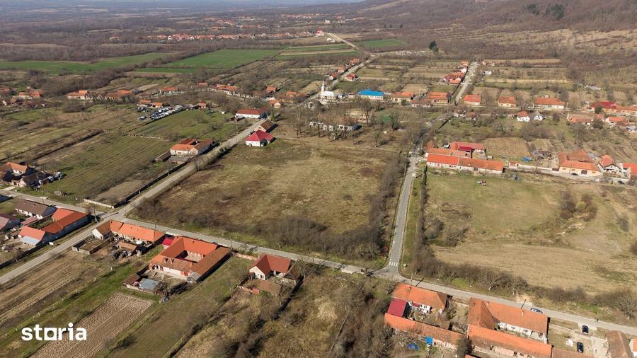 Casă cu 8 camere cu Teren 7235 Mp în Traian Vuia