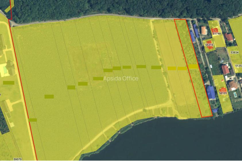 Teren de vânzare cu acces direct la lac, între pădure și apă – Moara Vlăsiei Teren de vânzare cu acces direct la lac, între pădure și apă – Moara Vlăsiei