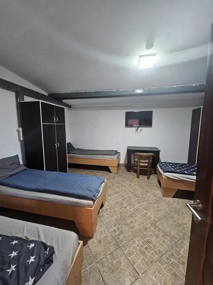 Proprietate speciala Dumbravita - casa individuala !! - 13