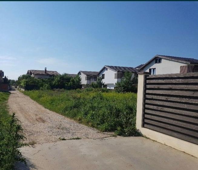 Teren Chiajna 800 mp - 3