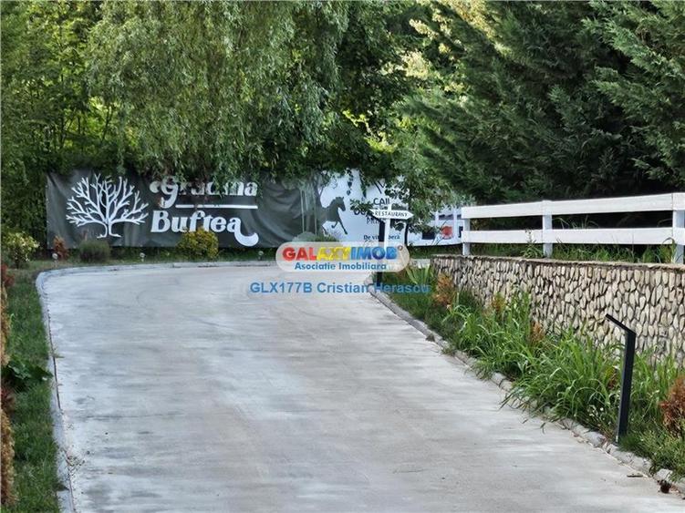 Buftea Flamanzeni 843 mp Str Independentei - 7