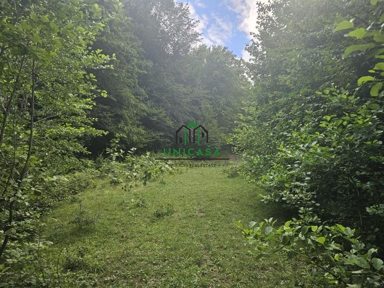 Teren extravilan  cu potential turistic - Brezoi - 2