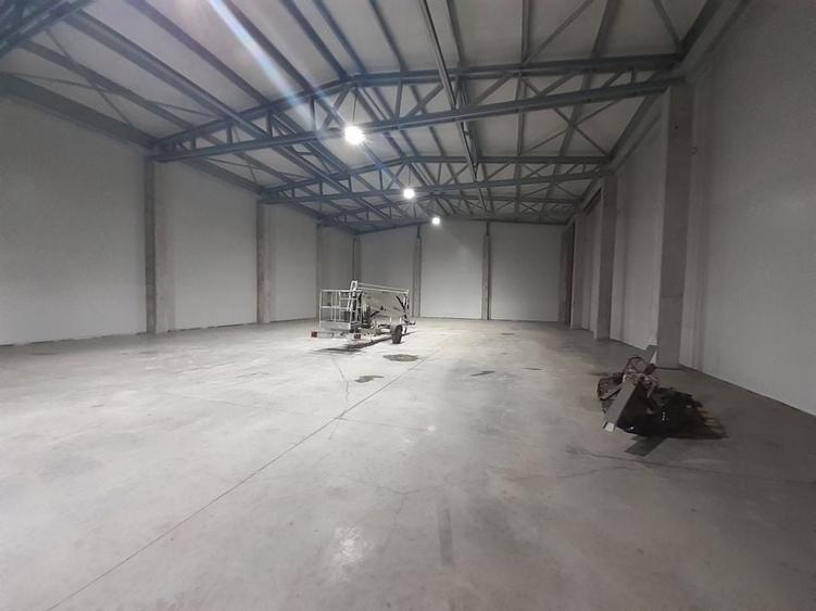 Hale, depozite de inchiriat in Afumati Ilfov, DN2, DNCB, A0, A3 - 2