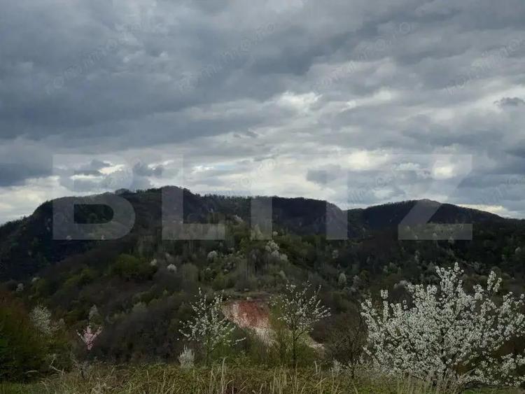 Vand casa cu 1 ha de livada in Carmazanesti - 1