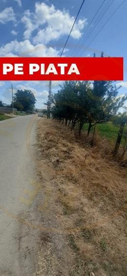 0% COMISION - TEREN GENEROS 5000 MP  GOLESTI - ARGES - 1