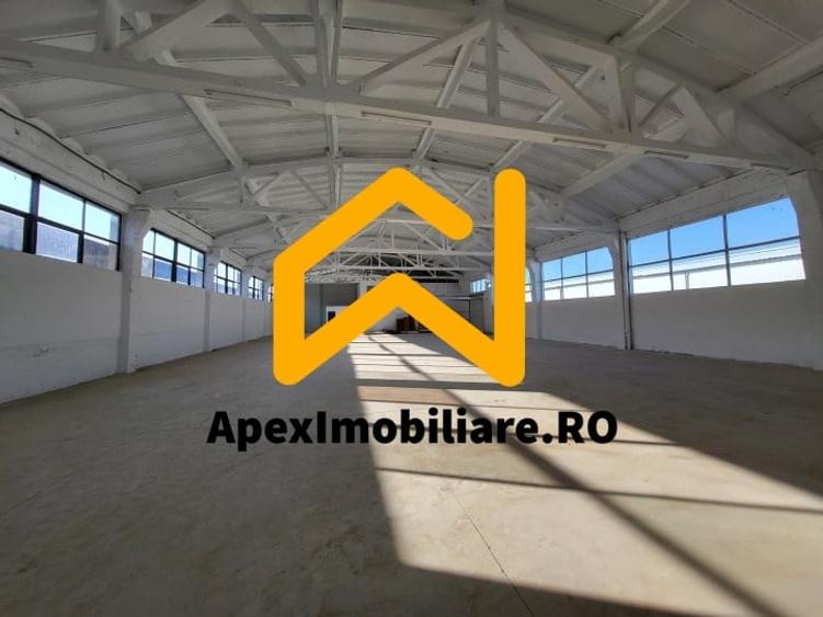 Hala Industriala Xenia – 1800 mp, Acces TIR, Parcare 50 Auto - 4
