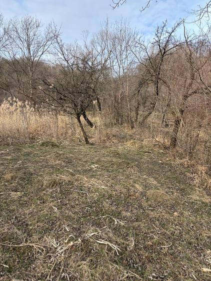 Teren de vanzare Fieni Dambovita - 8