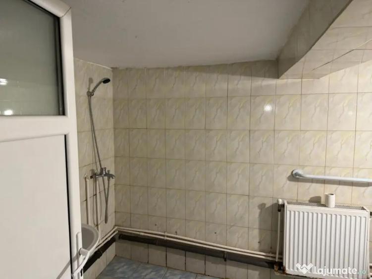 Casa P+1, 140 mp utili, zona Brestei/Raului, COMISION ZERO - 12