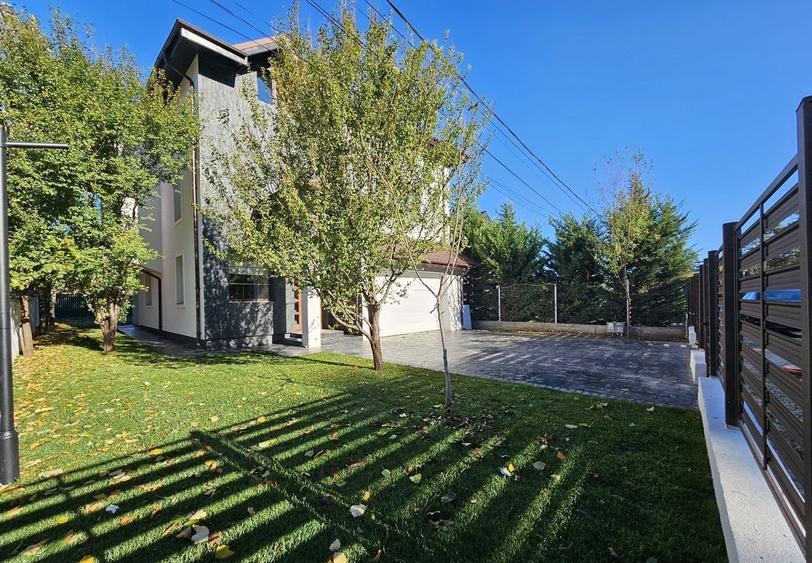 Oglinda Pădurii: Reședința unde timpul învață să stea în loc - 1