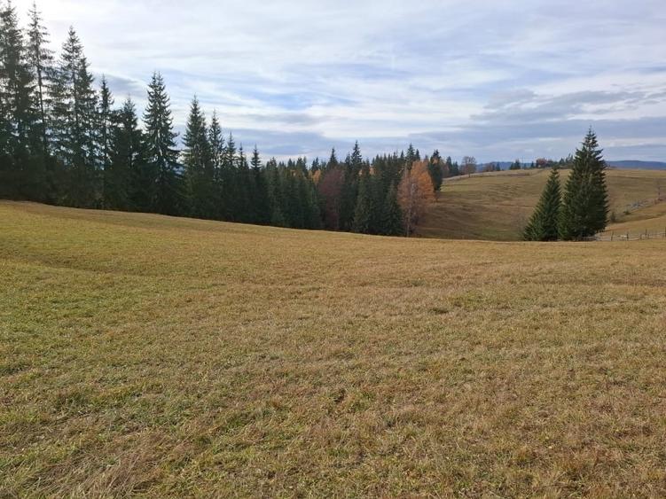 Teren vanzare intro o zona linistita. - 1