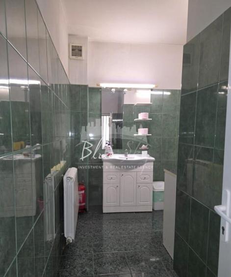 Spatiu pentru birouri, Centru-Str. Stefan Mihaileanu - 9