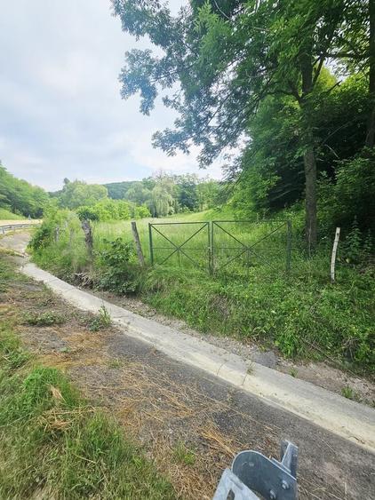 Teren intravilan lângă pădure – 1659 mp,  C.U. P+2E, Vărbilău - 4