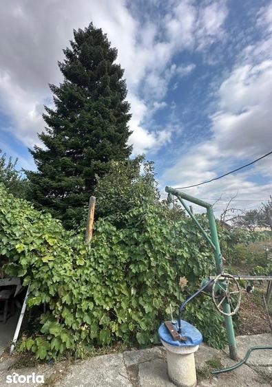 CASA CU TEREN DE VANZARE IN FRUMUSANI, LA 20 DE MINUTE DE BUCURESTI - 1