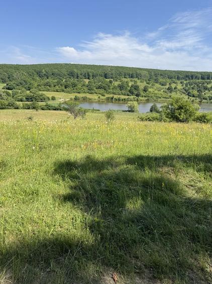 Parcele teren S=550 mp zona Tocile - 4