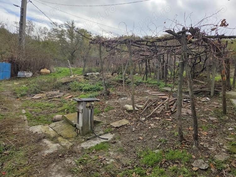 Vand casa si teren intravilan, Popesti, Vaslui - 8