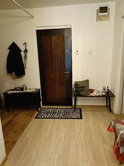 Apartament 1 camera Frumoasa - 4