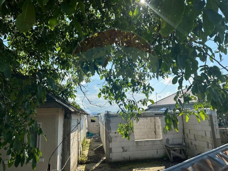 Teren intravilan 3.765 mp cu casă – Bodești de Jos - 5