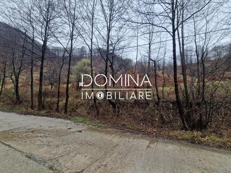 Vanzare teren, situat in Comuna Pe?ti?ani , sat Gureni - zona de munte - 4