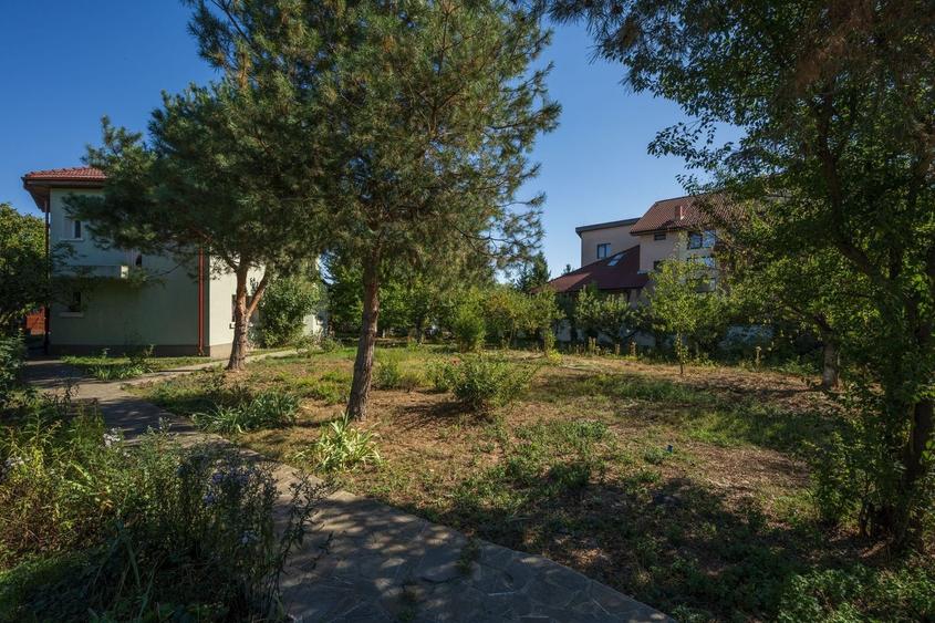 PROPRIETATE UNICA: 1.618 MP TEREN  IN PIPERA, CU VILA SOLIDA SI GRADINA SUPERBA - 3