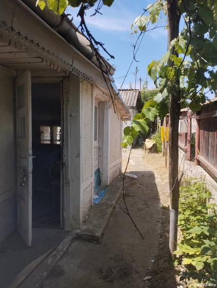Teren cu casa batraneasca Magura, Bacau - 8