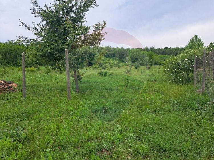 Teren Silistea Snagovului 500 mp apropiere padure - 2