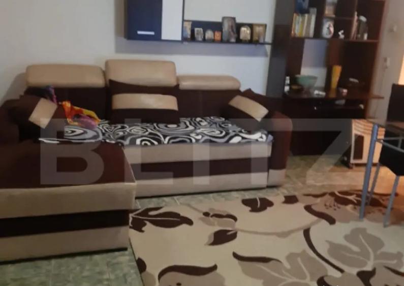 De vanzare casa 99 mp, teren 7,5 ari in Lazuri, Satu Mar - 7