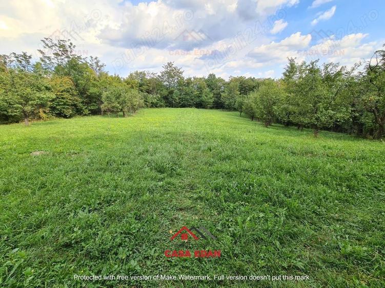 Teren intravilan in Poiana Campina--3287mp--10e - 6