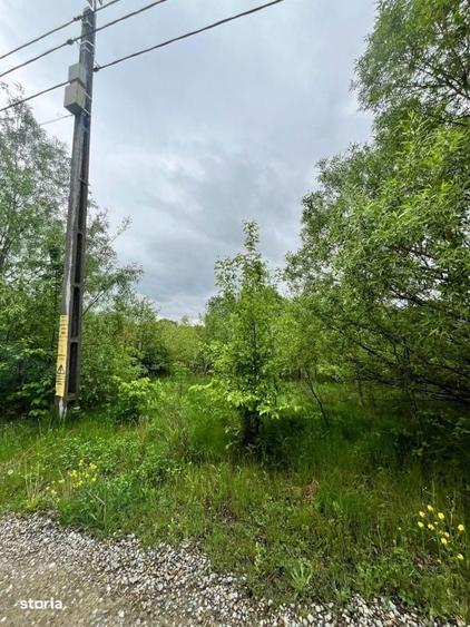 Teren intravilan, 2300mp, zona Hardic, Horodnic de Sus, Radauti - 4