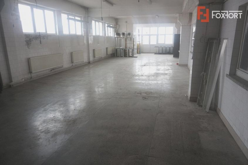 Hala productie in Timisoara COMISION 0% - ID V4732 - 17