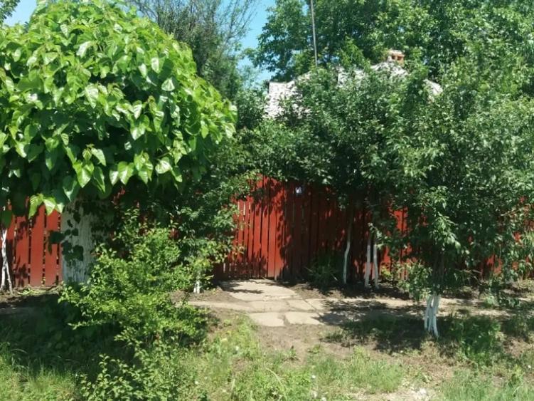 Vand casa locuibila Izvoarele - 1
