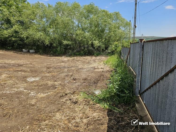 Teren intravilan| front la drum asfaltat| Rediu - 5