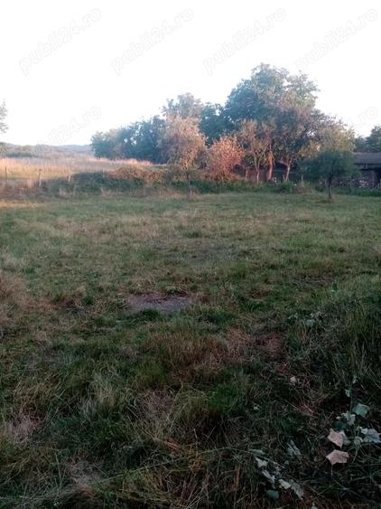 Casa de vanzare Gladna Romana, judetul Timis - 6