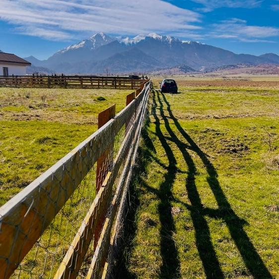 Teren intravilan Râșnov – Glejerie  5 parcele x 1000 mp  Capăt Str. Greierilor - 8