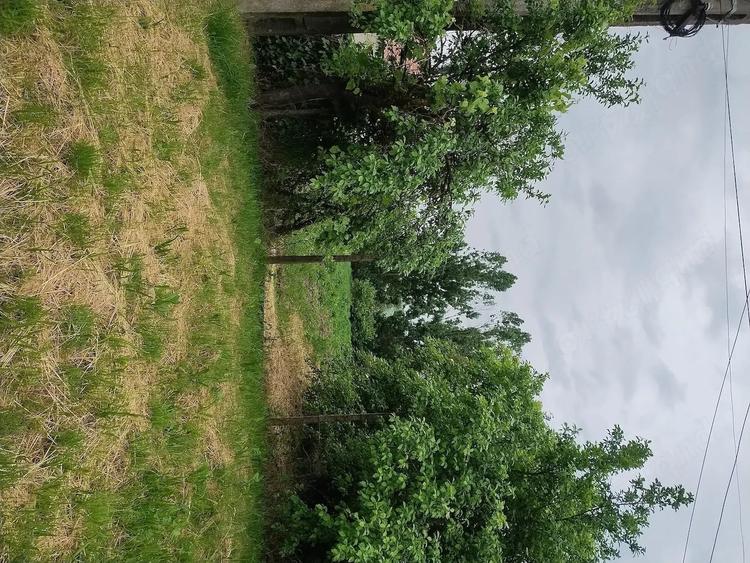 Vand teren pentru casa in Pasareni - 2