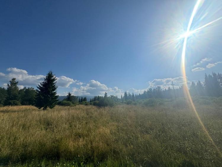 12700 mp investitie rezidentiala- turistica- medicala Tinovul Mic/Șaru Dornei - 12