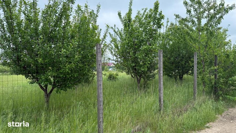 TEREN PENTRU CONSTRUCTIA CASEI, MIROSLAVA, VALEA URSULUI - 1