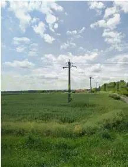 Nadlac, 29300 mp teren, de vanzare, negociabil - 3